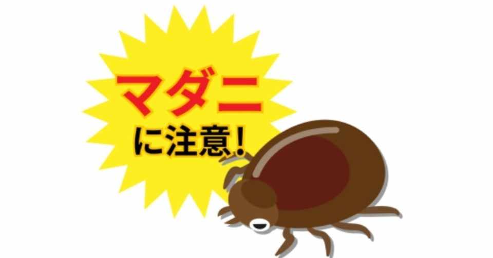 小さな悪魔 マダニ こうのかみ Note