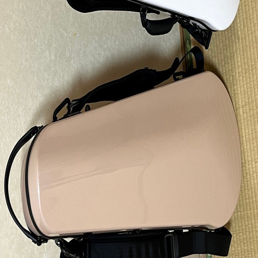 ビオラケースも購入したよ｜Ralatalk