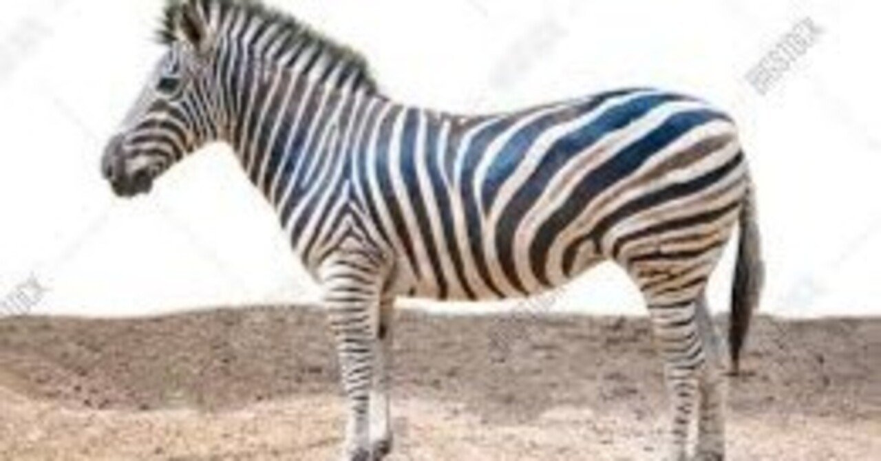 らぶしっく たろ ピンチェキ まとめ らぶしっくメンバーの 現在と過去💘