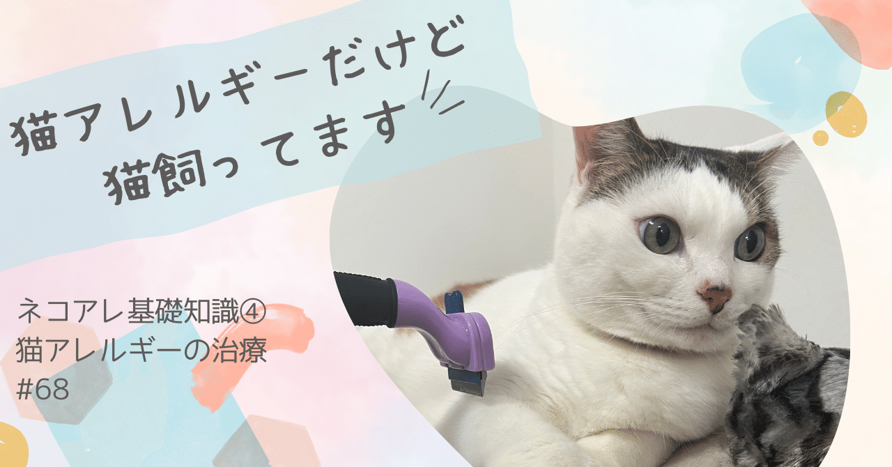 ネコアレ基礎知識④猫アレルギーの治療｜ネコアレ専科
