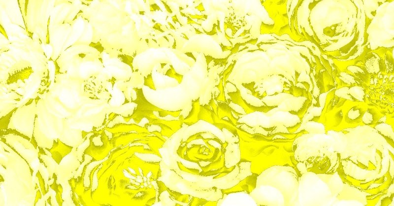 黄色の花２