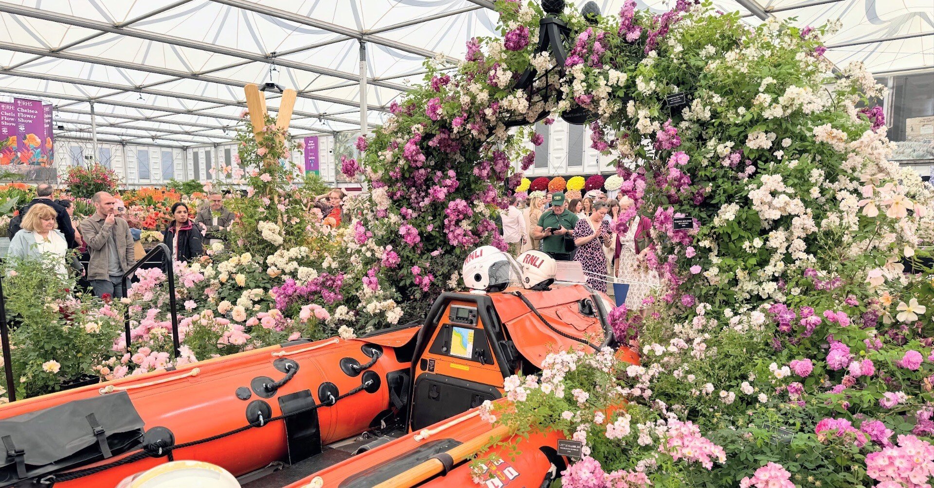 英國行事]お花の祭典、チェルシー・フラワー・ショー2024に行ってきた