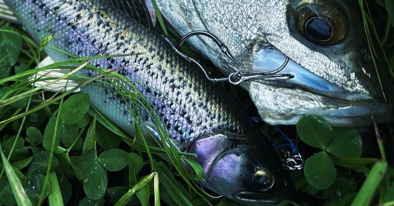 スイムベイトの魅力【ブログ】｜Locus Solus