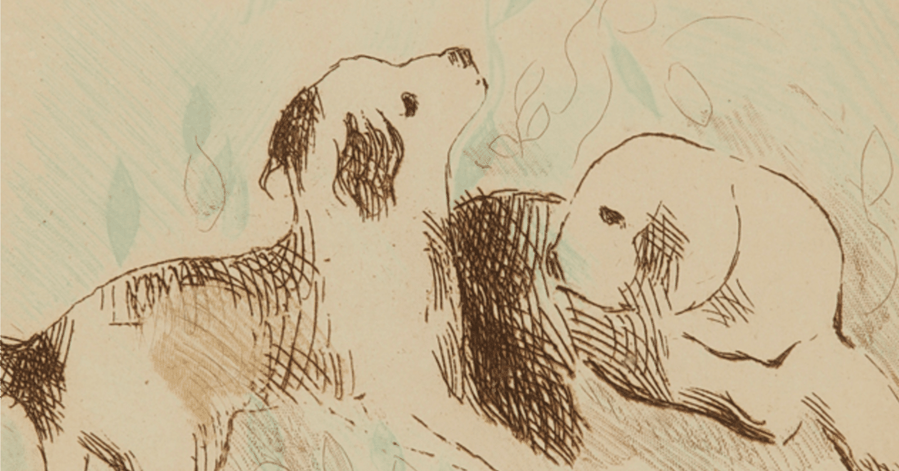 463e66d5f5588301ef1665a621842d