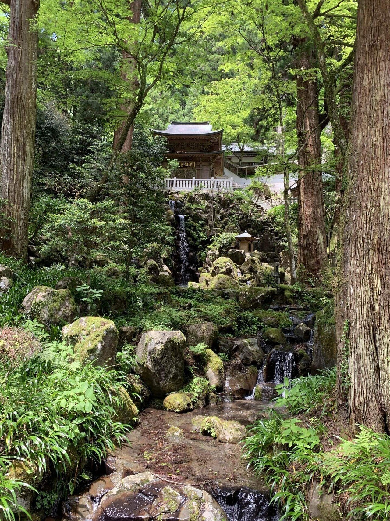 樹齢500年の杉並木 大雄山最乗寺を訪れる｜さいとう@ゆったりFIREで