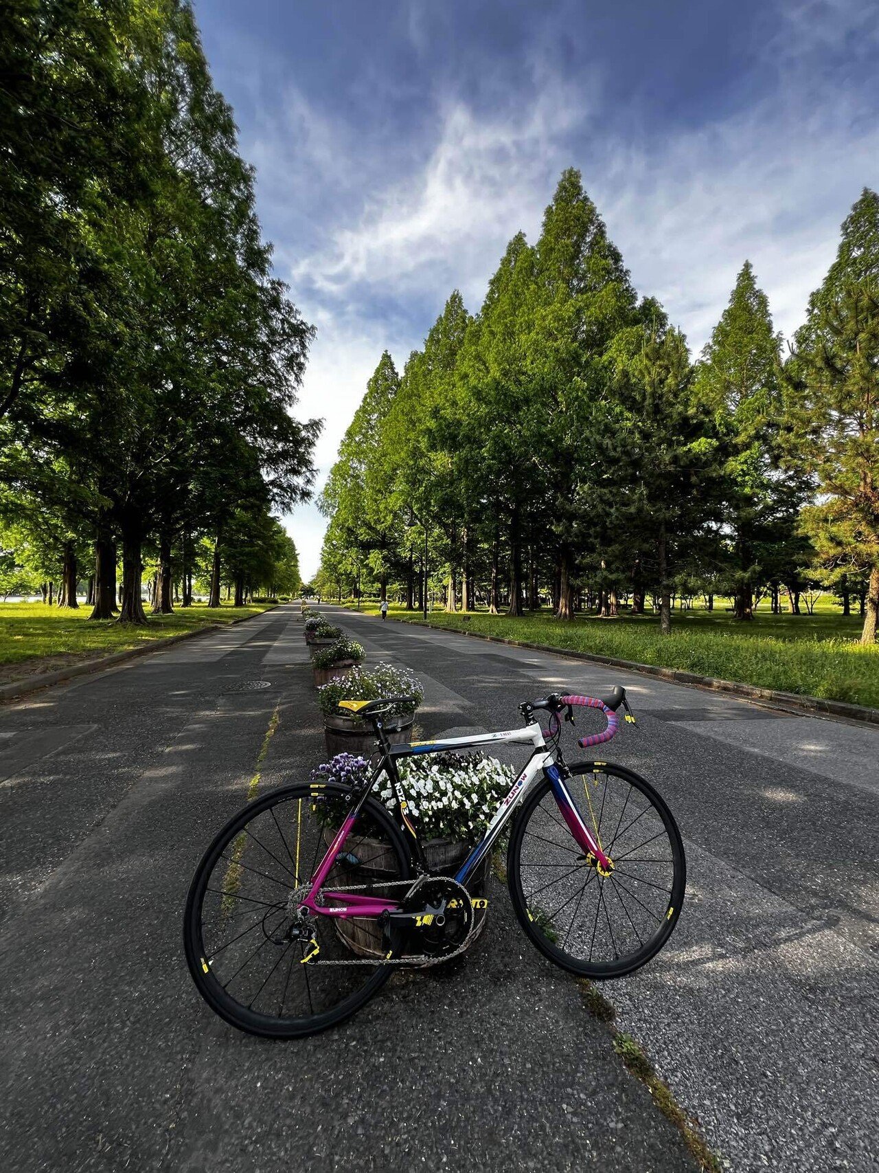 胸がときめくちょっと古いロードバイク🚴ZUNOW Z1-NEXT 胸がときめくちょっと古いロードバイク🚴ZUNOW Z1-NEXT