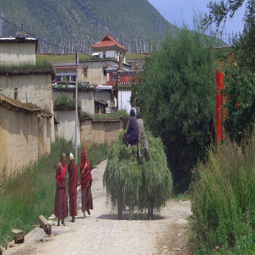 中国雲南省探訪記】前置き｜翁まひろ☘