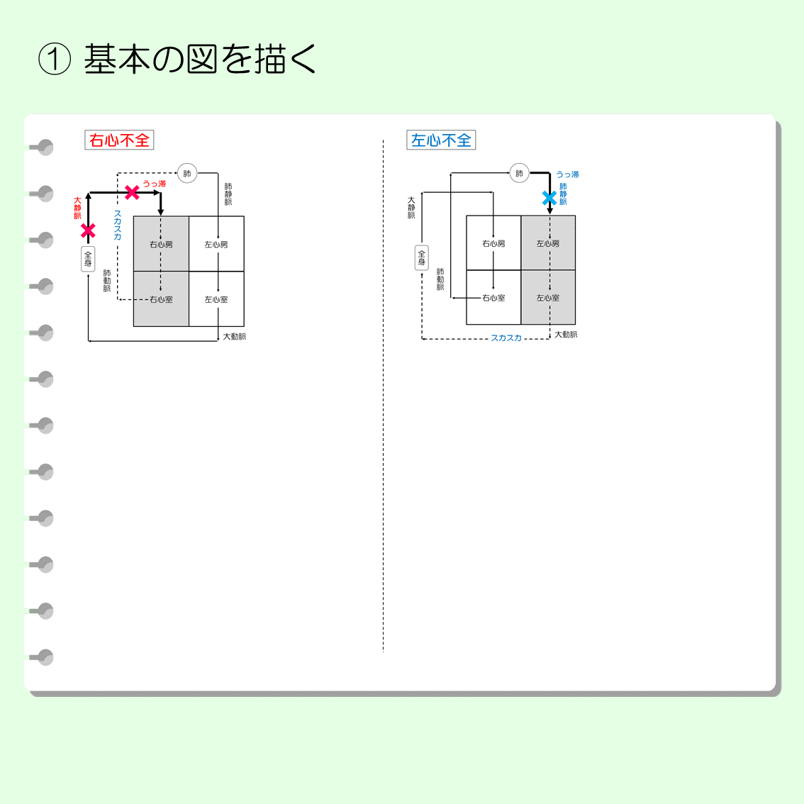 まとめノートの作り方④【人体＆臨床栄養学編】｜ujishio