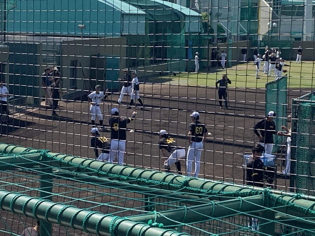 ソロ活男子 阪神鳴尾浜球場｜にゃん吉郎