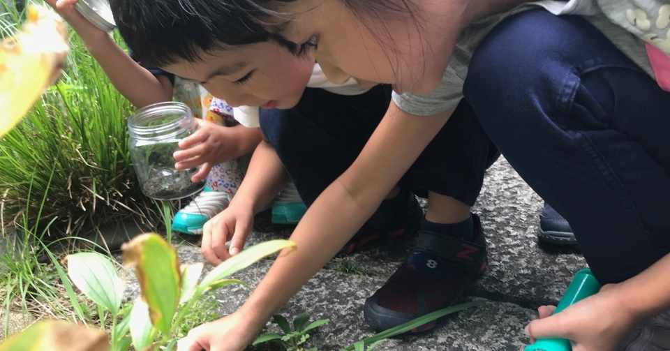探究堂日記 19 ダンゴムシは何を食べる 寿命は 足は何本 いざ探究だ 山田洋文 探究堂代表 Note