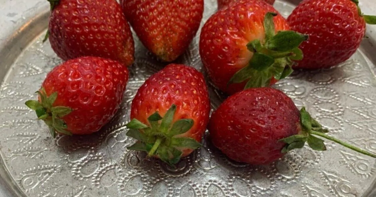 イランの銅食器、使ってみませんか｜Miki Khanum