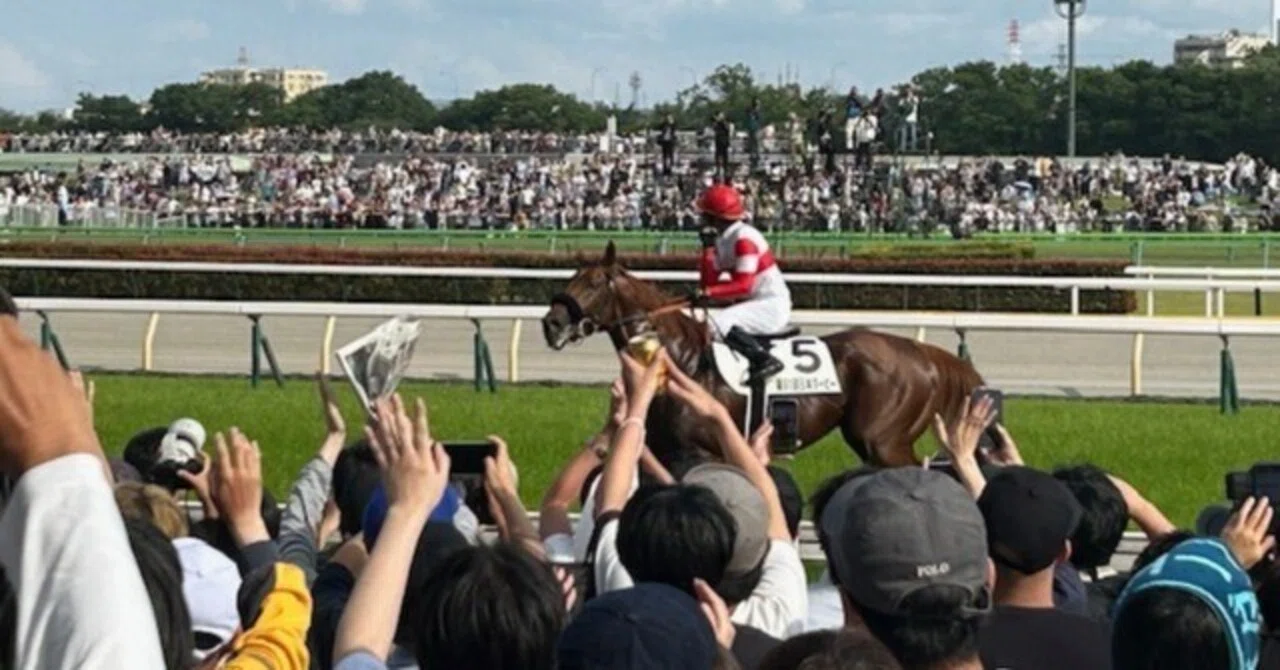 第91回 日本ダービー 優勝 ダノンデサイル号｜マイク