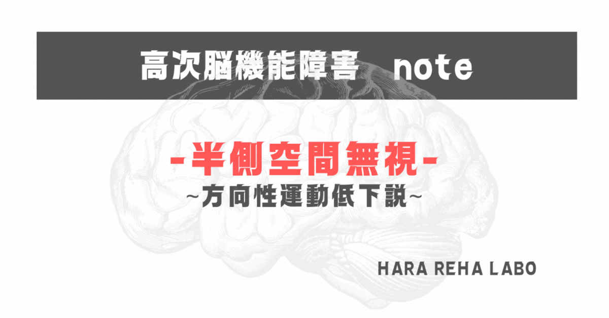 半側空間無視［方向性運動低下説］｜はらリハ【自費リハビリ