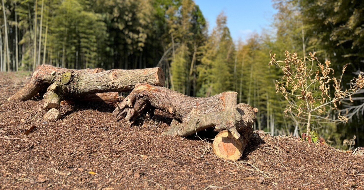 大地の再生』 in熊本県山鹿市(5/26)｜正ちゃん（鶴井 正吾）