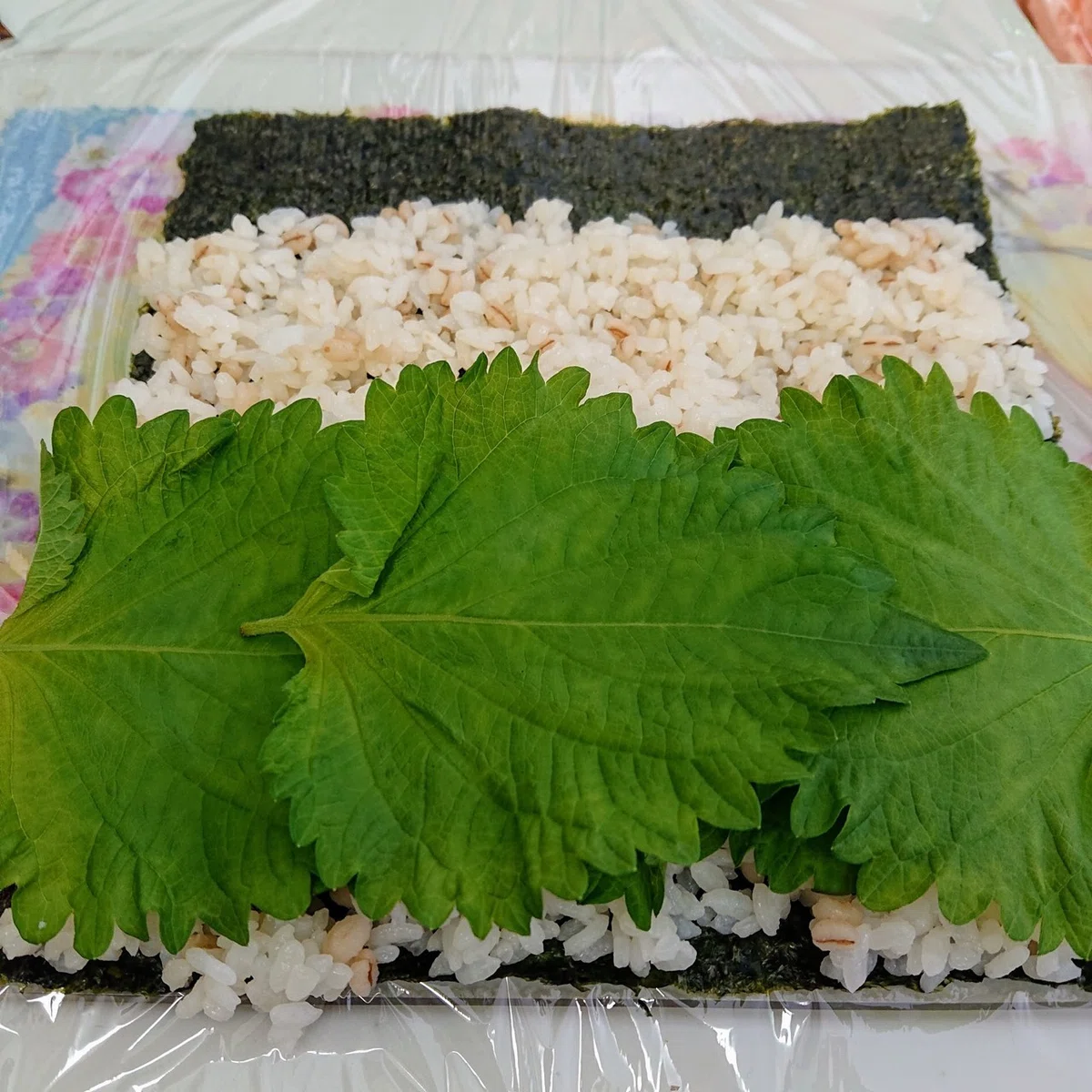 画像6