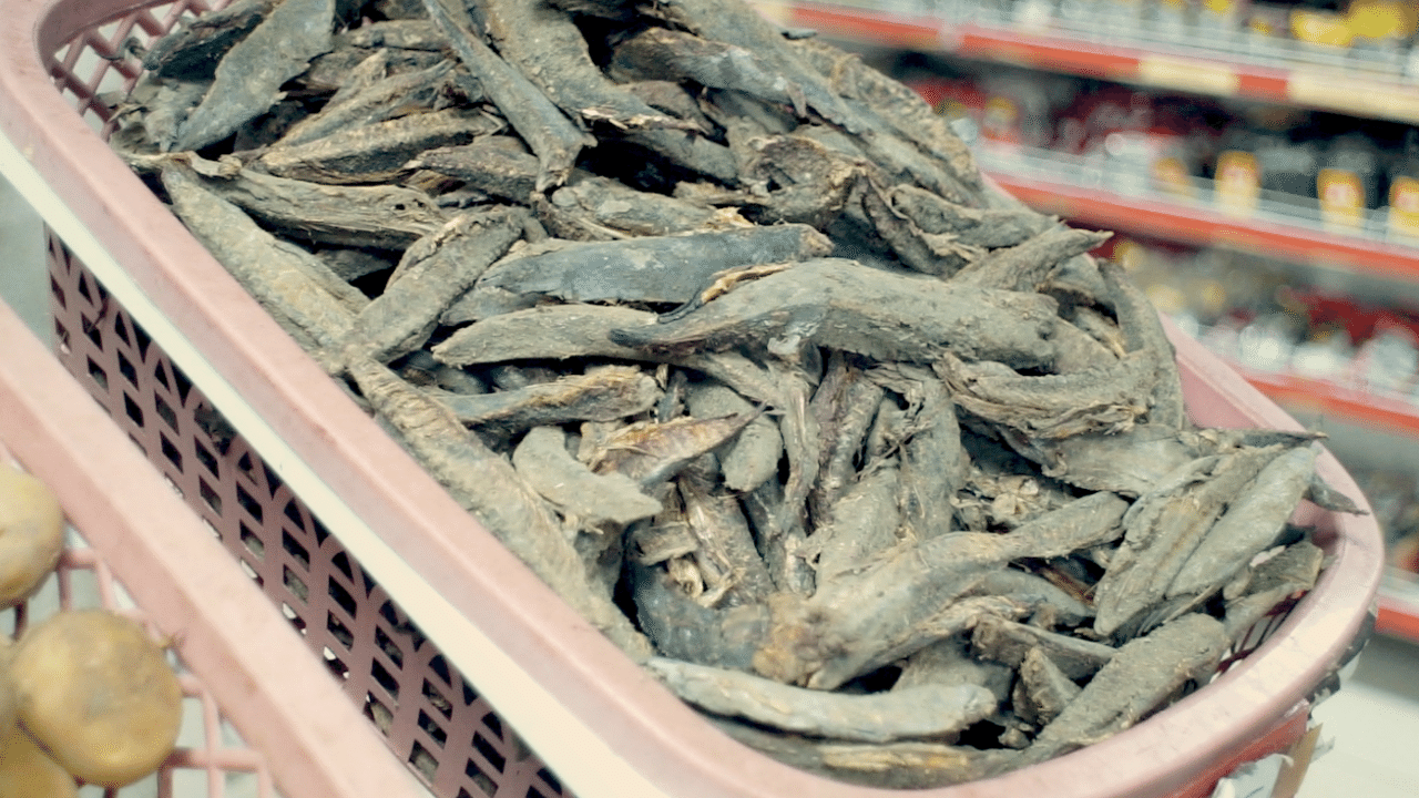 ポディマハッタヤ スリジャヤワルダナ モルディブフィッシュ 夫婦世界一周紀 19日目 草作 Note