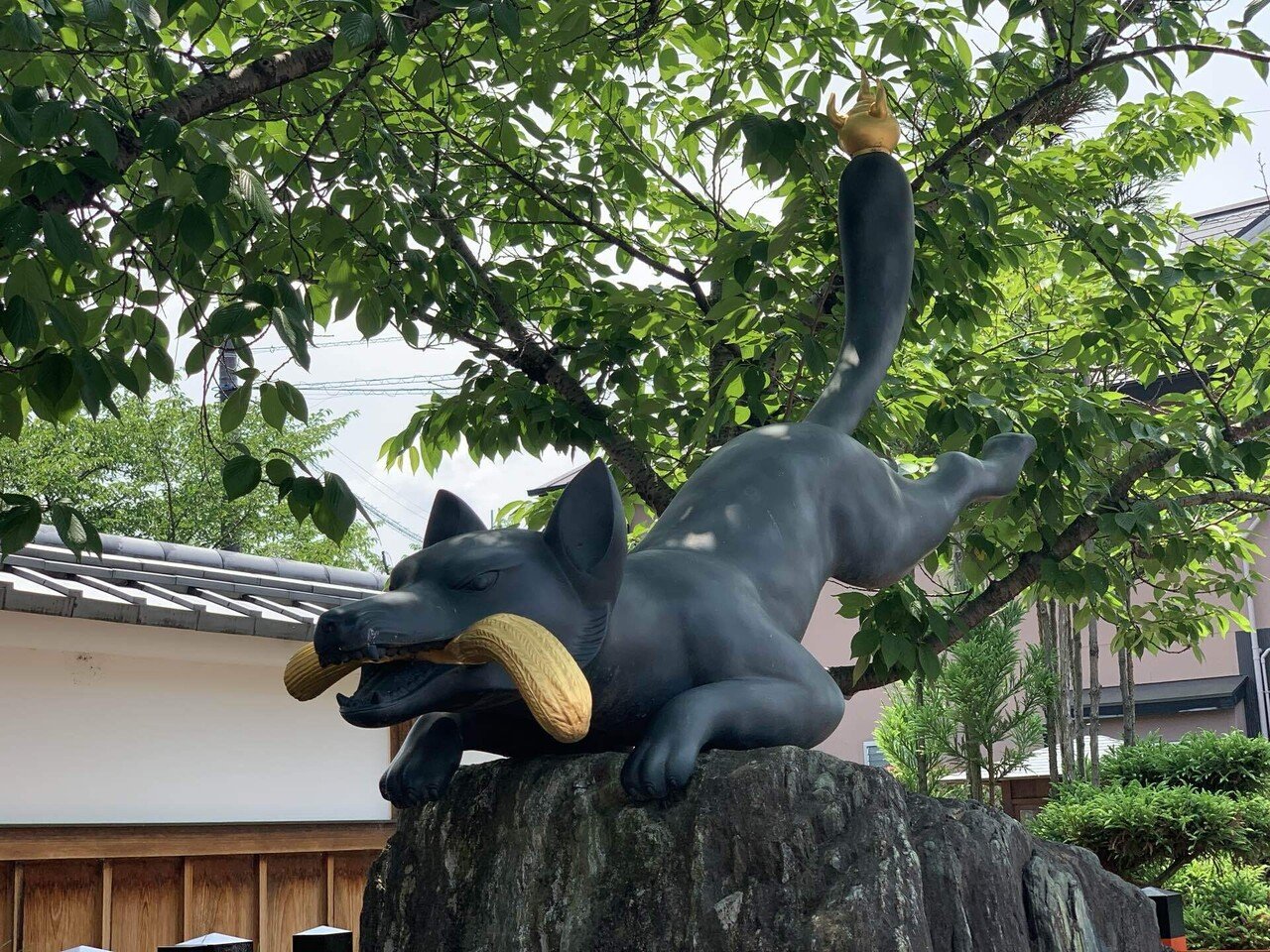 びゃっこさま用です