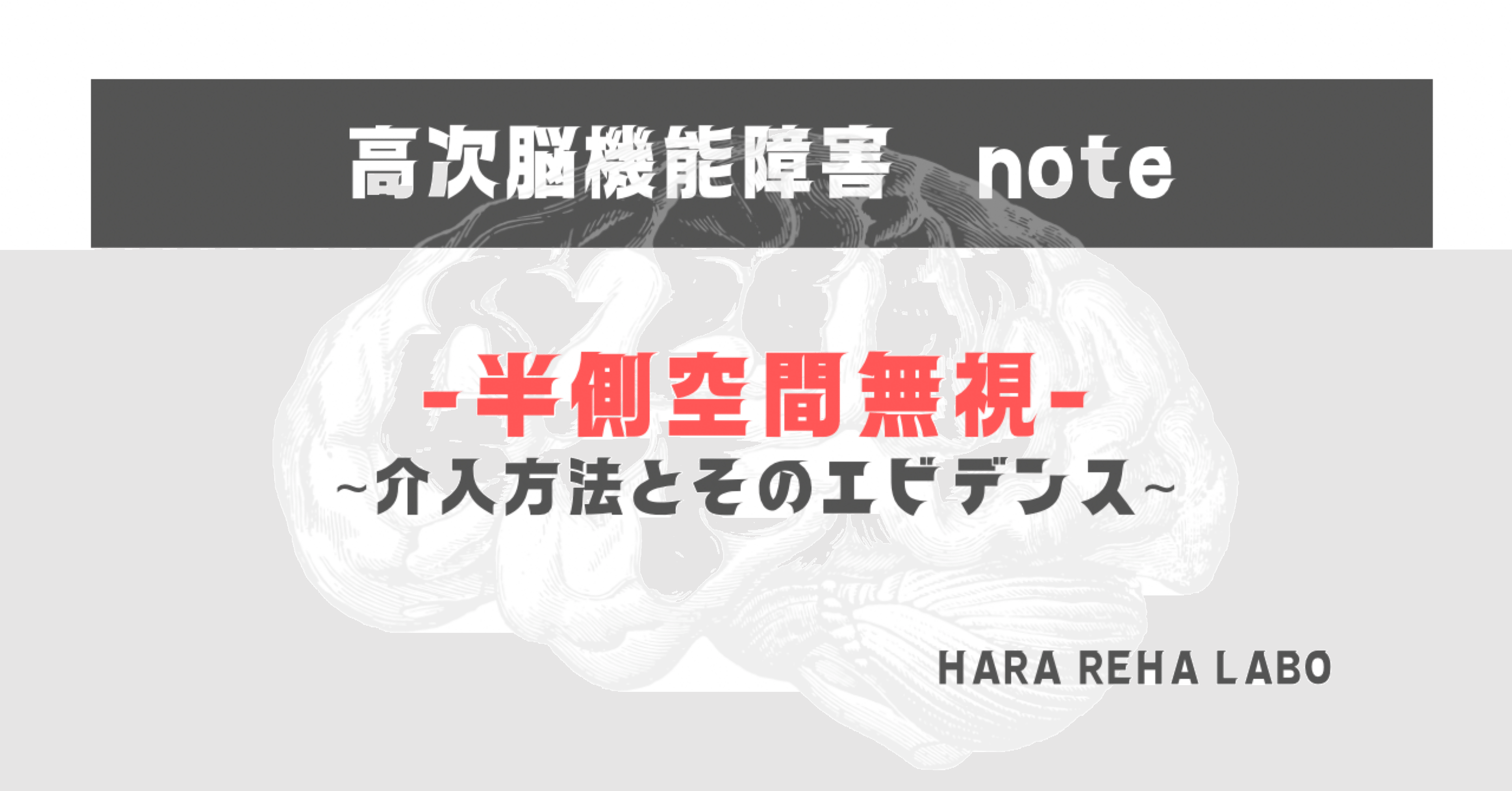 半側空間無視［介入方法とそのエビデンス］｜はらリハ【自費リハビリ