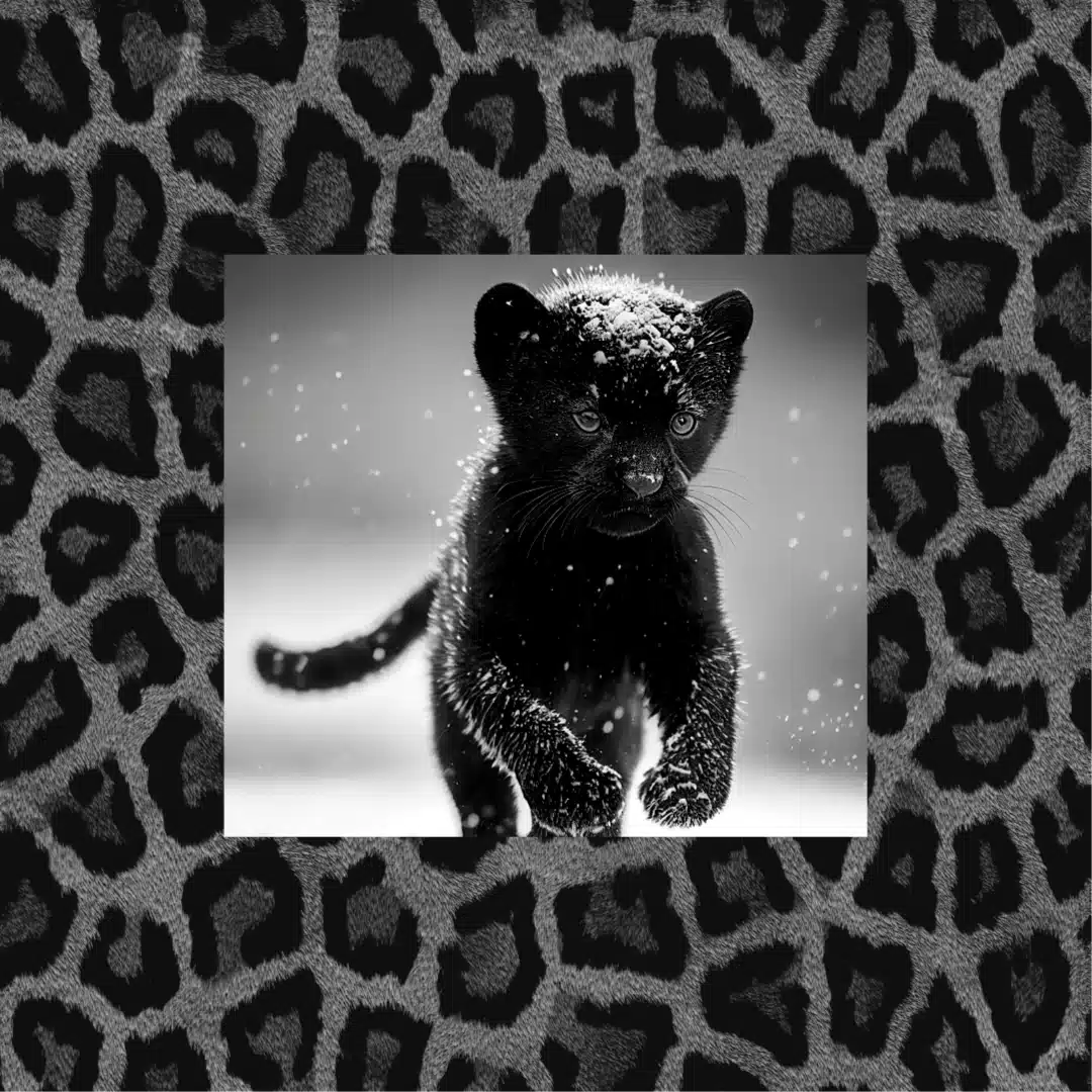 クロノヒョウ