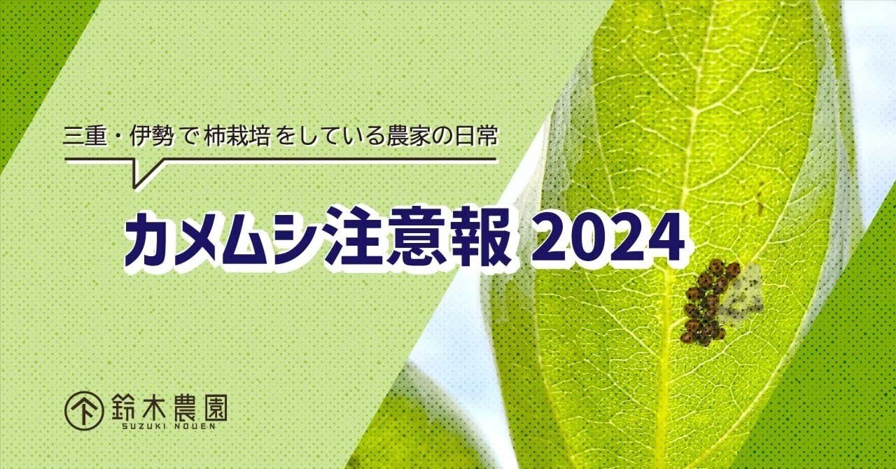 カメムシ注意報2024｜鈴木農園｜伊勢のかき【蓮台寺柿】