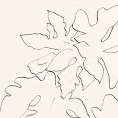 モーリス・ブランショ『災厄のエクリチュール』試訳｜cabane