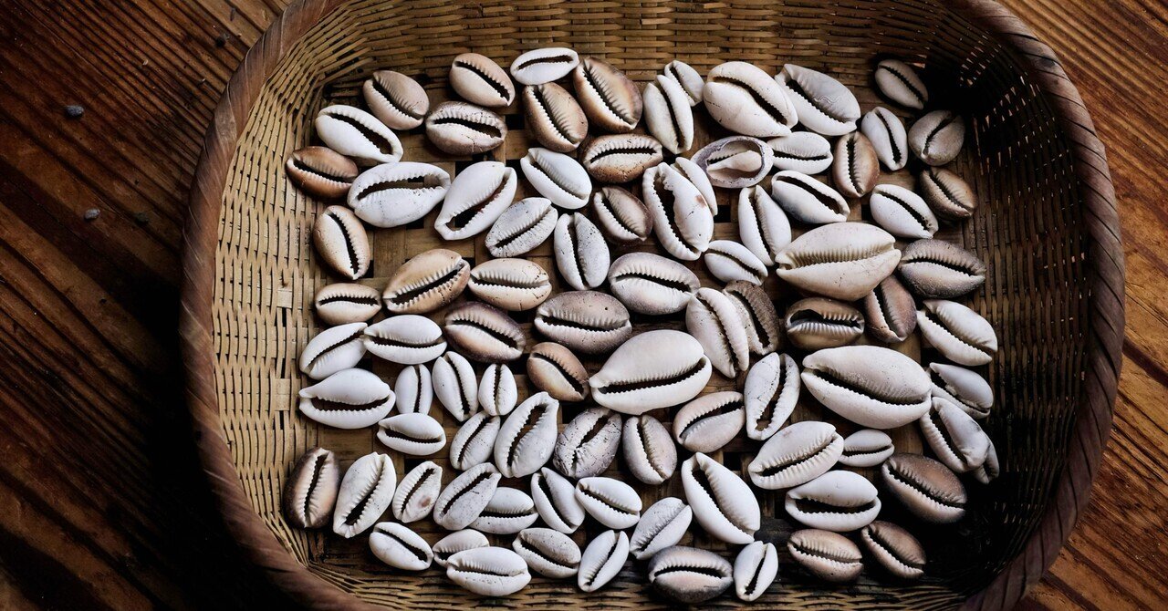 割れたタカラガイ収集｜kuno_yasuhiro