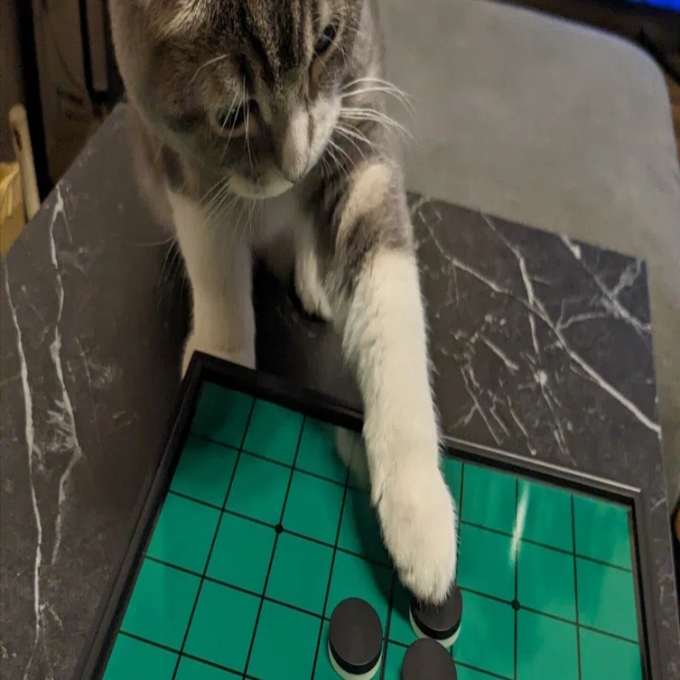 そこには置けません」オセロの石で遊び始めた猫ちゃん、いきなり隅を