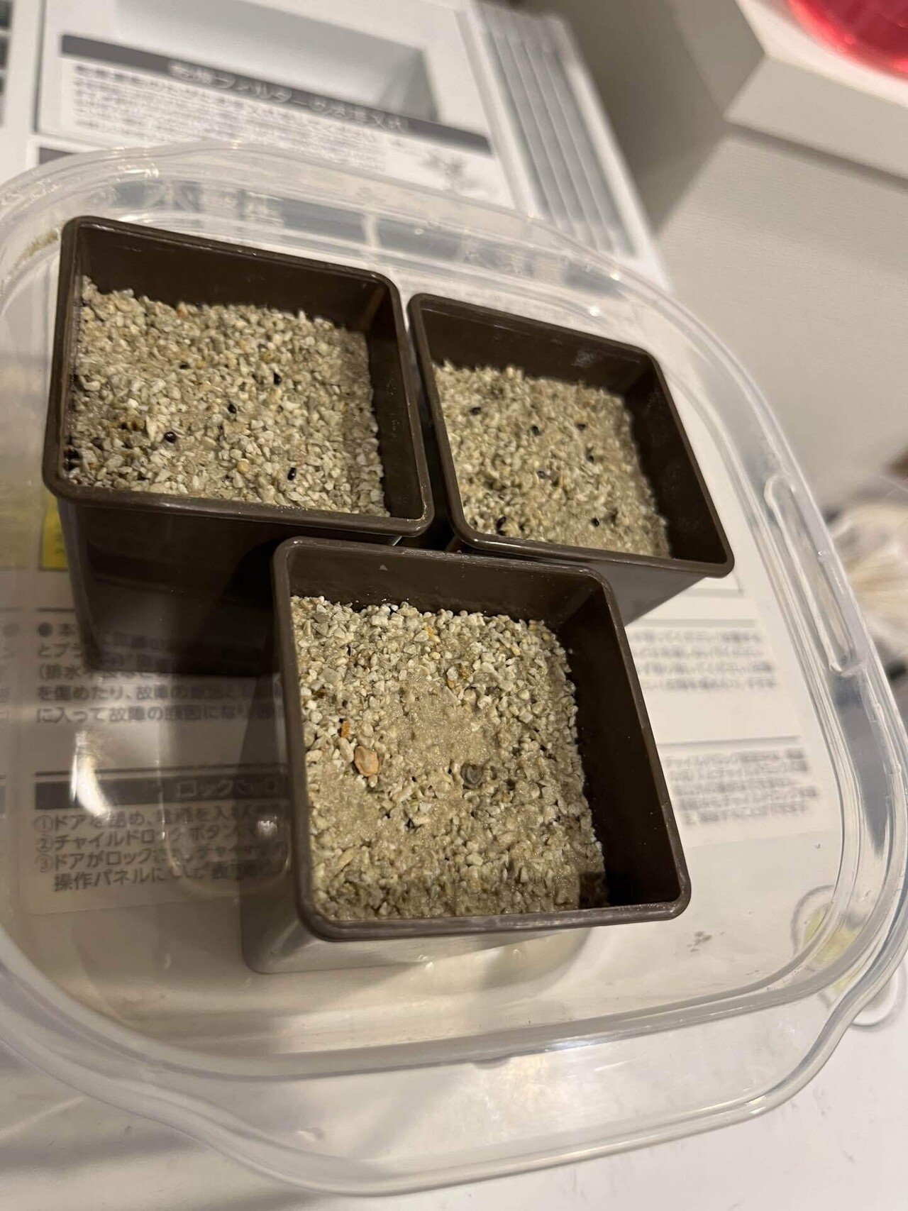 けいちゃん様金鯱6頭、金鯱5頭、弁慶柱5頭、弁慶柱3頭、弁慶柱1頭 金鯱 仕掛箱(黒艶消し) | へら鮒釣具の通販なら共栄つり具