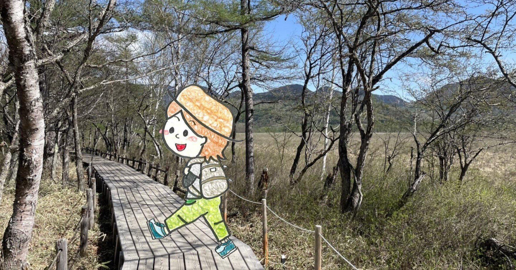 戦場ヶ原 戦場ヶ原（栃木県）｜こころから