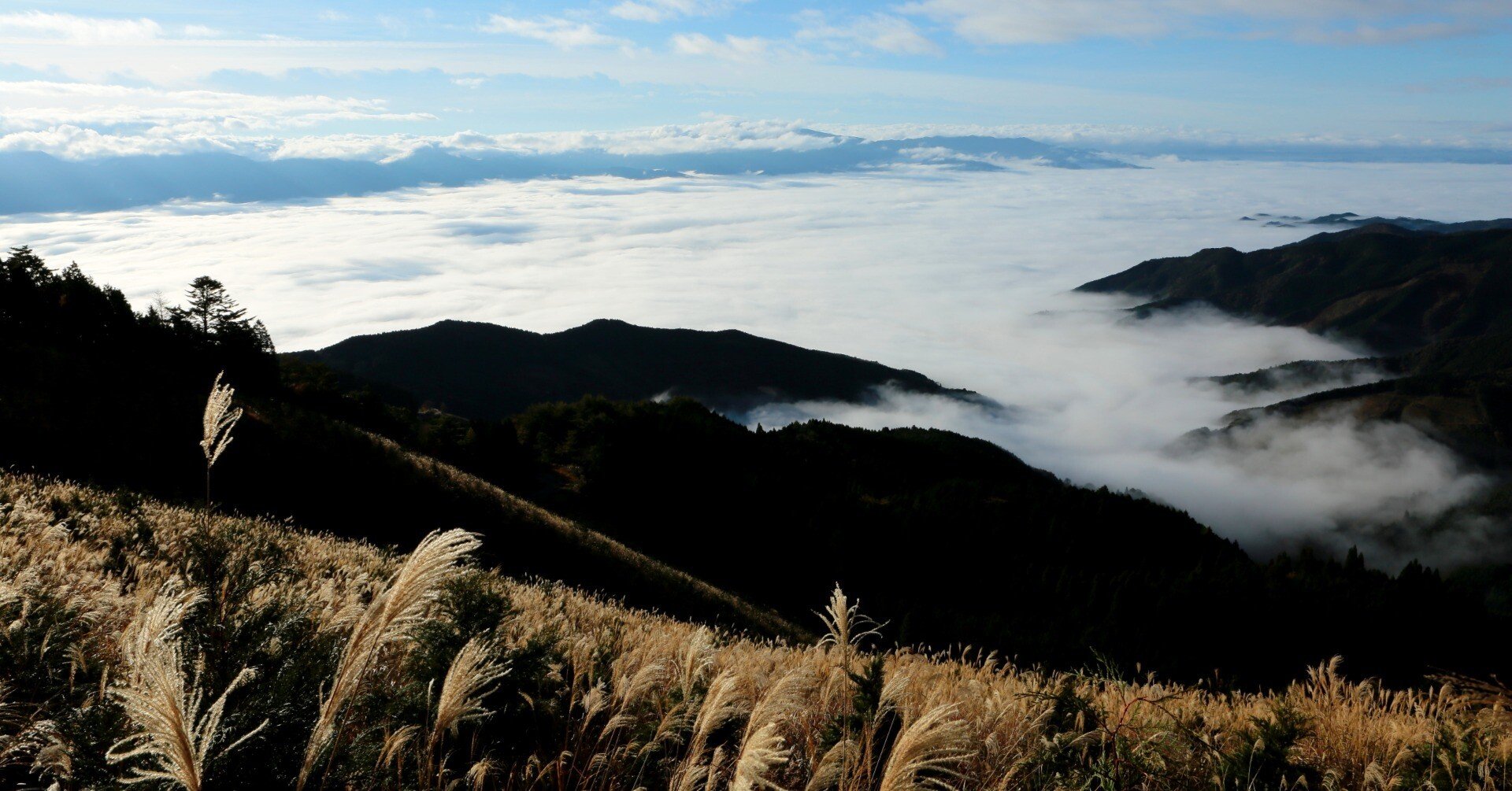 アポロ峠 雲海（2019年11月23日記）｜風景写真 四季の山旅