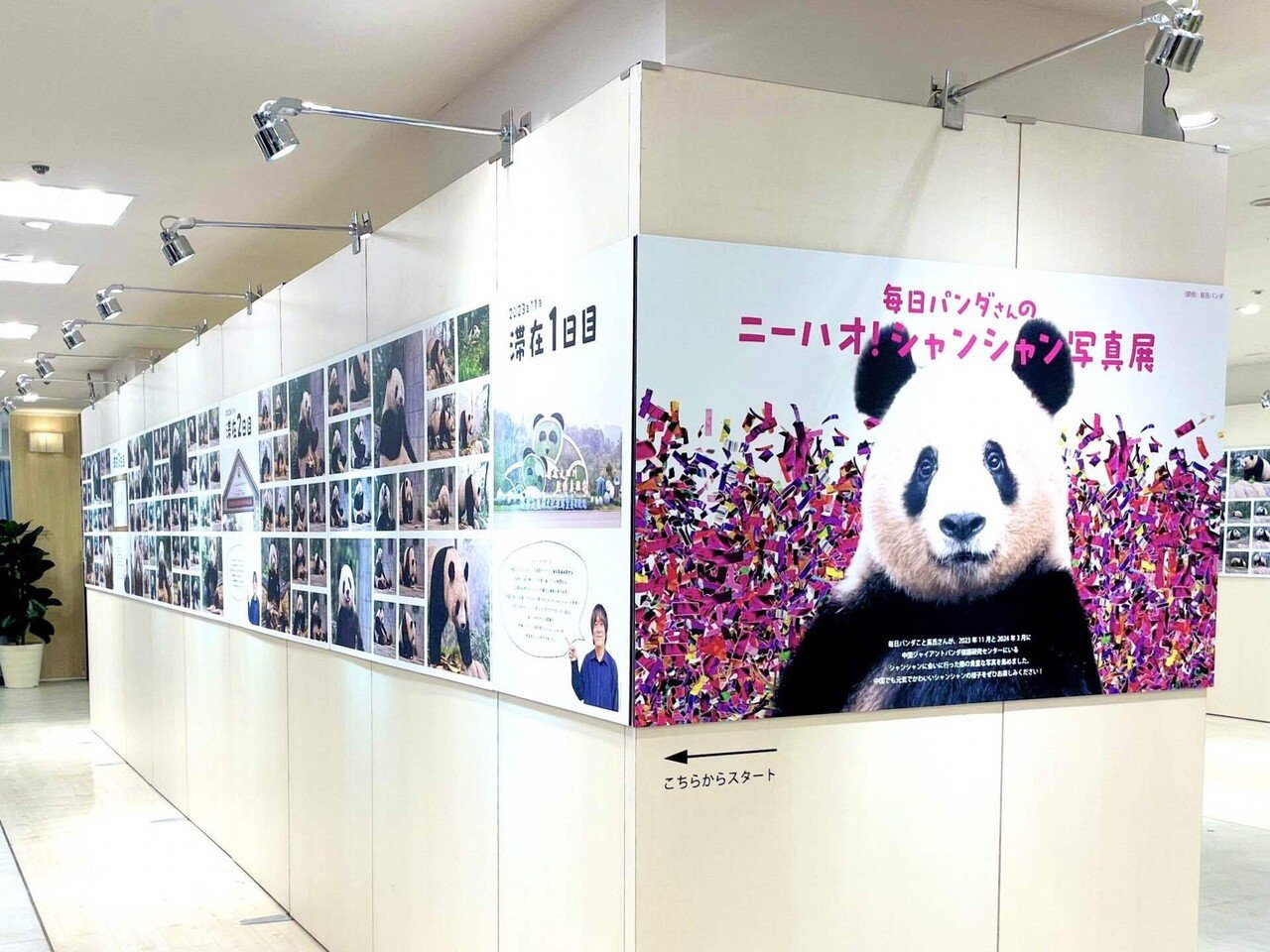 パンダバナー 上野松坂屋 松坂屋上野店で「HAPPY PANDAFUL HOLIDAYS」を開催中！(11/27
