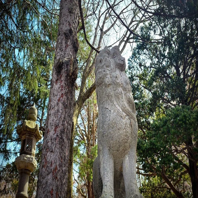岩内神社の狛犬・手水鉢が岩内町文化財に指定されました｜北海道いわ