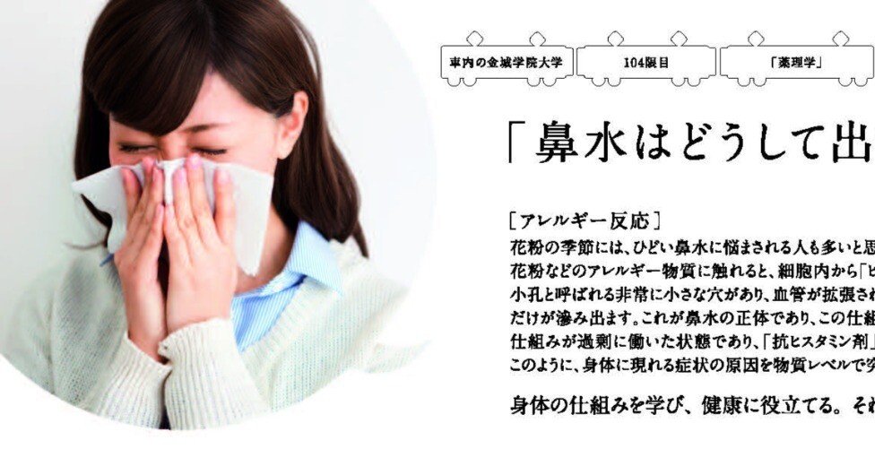 アレルギーの発症メカニズム解明が、治療薬開発のカギ！？｜金城学院