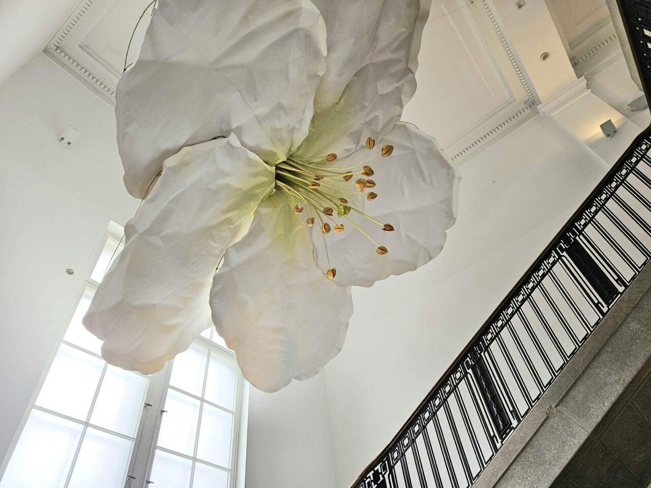 ベルリン 現代アートと空間、一瞬の体験｜nyalra