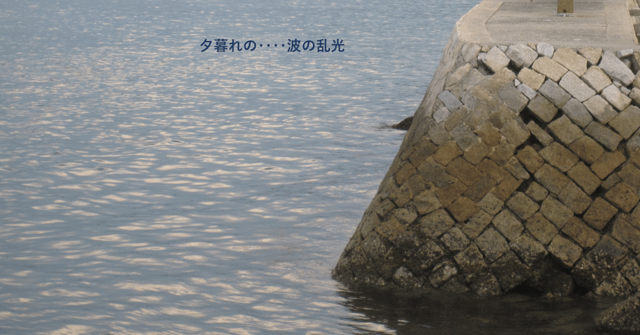 保田與重郎全集 第39巻　木丹木母集　戊子遊行吟　月報函帯元パラ　第一刷　未読 Amazon.co.jp: 保田與重郎全集 第39巻 : 保田 與重郎: Japanese