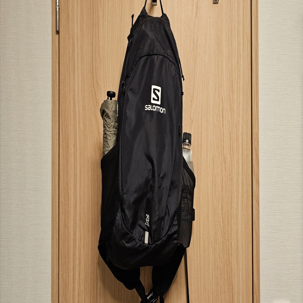 SALOMON TRAILBLAZER 20 ブラックリュック サロモンのTRAILBLAZER 20は普段使いもランニングもいける万能バック