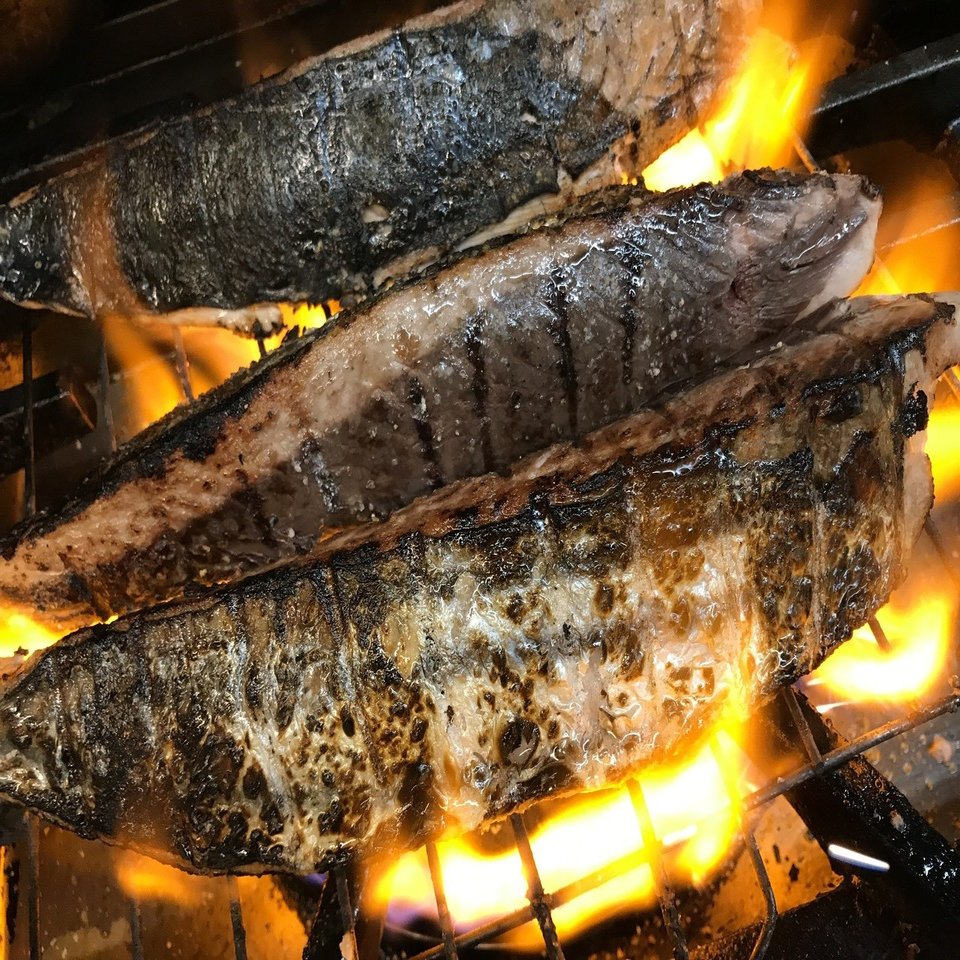 偉いぞ カツオ たぬき女将 郷土料理研究家 Note