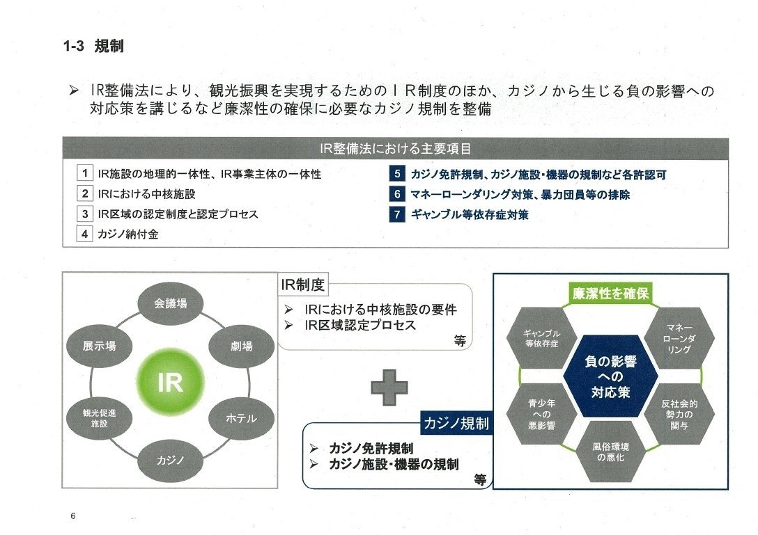 平成30年度特定複合観光施設に関する影響調査報告書_page_06