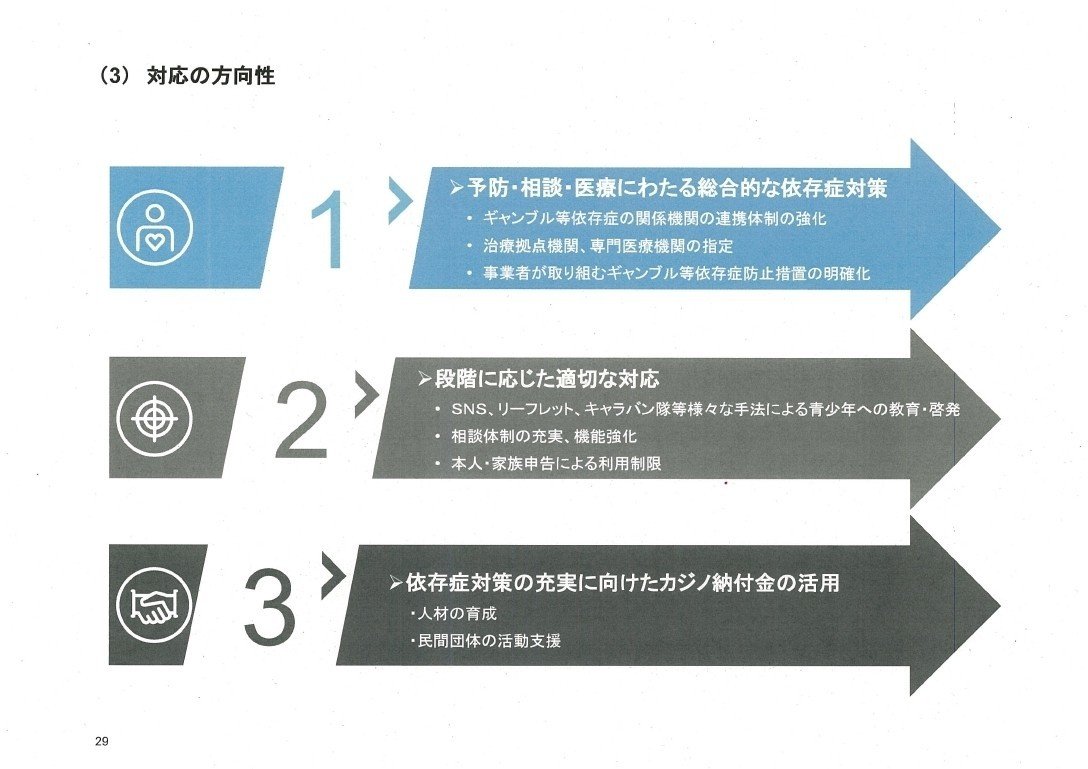 平成30年度特定複合観光施設に関する影響調査報告書_page_29