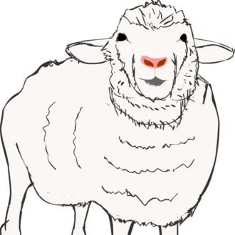 ここかしこ