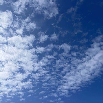 今後の倒産時代に、企業が生き残るたった一つの方法とは!?