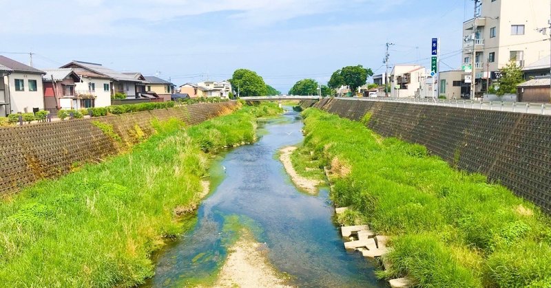 祖母家片付け計画6 とにかく捨てるべし メカタマサエ 滋賀彦根への夫婦移住生活 お店と日々の暮らし Note
