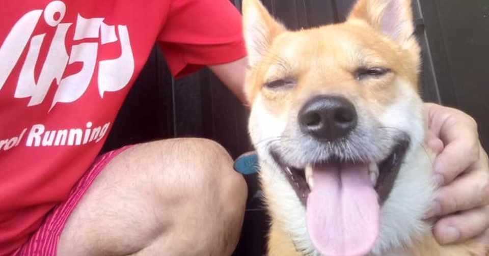 インスタグラム開設しました 19 9 2 9 8 今週のパトラン松戸チーム パトラン松戸チーム Note