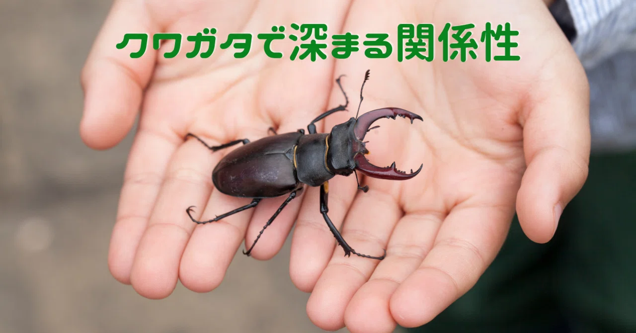 HUGノート】クワガタで深まる関係性｜HUG for ALL