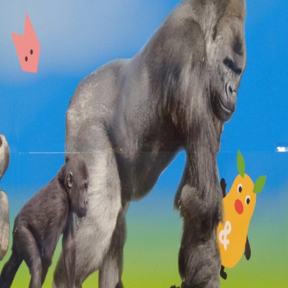 日本ゴリラ化計画】名古屋編①イケメンに会いに行く｜え＠レフト