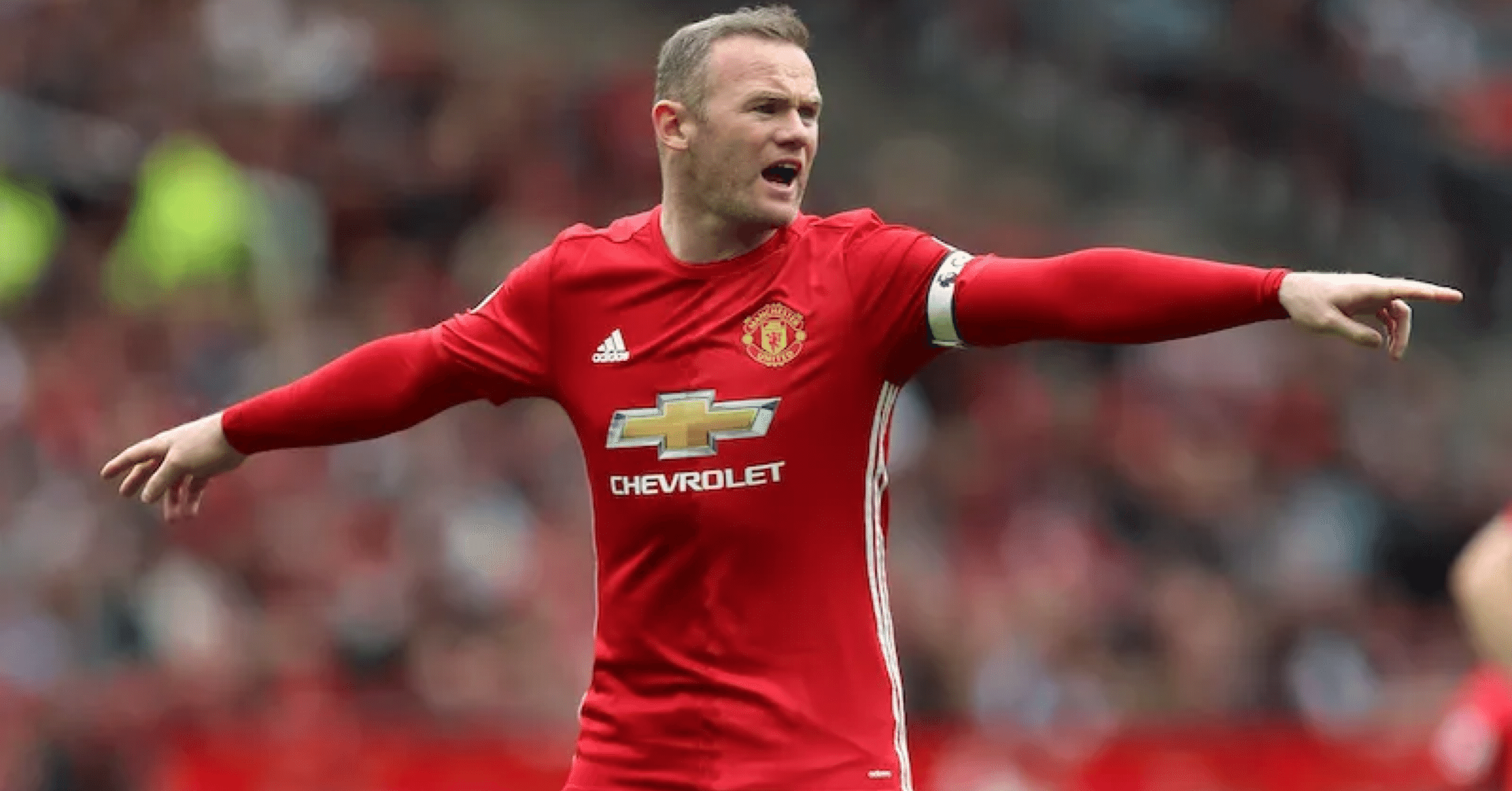 思い出のルーニー｜食券