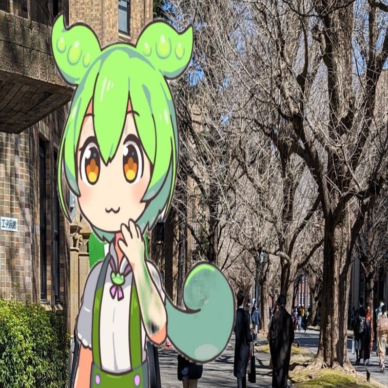 開成生　東大日本史、地理セット 教科書一冊で解ける東大日本史 (光文社新書) | 野澤 道生 |本