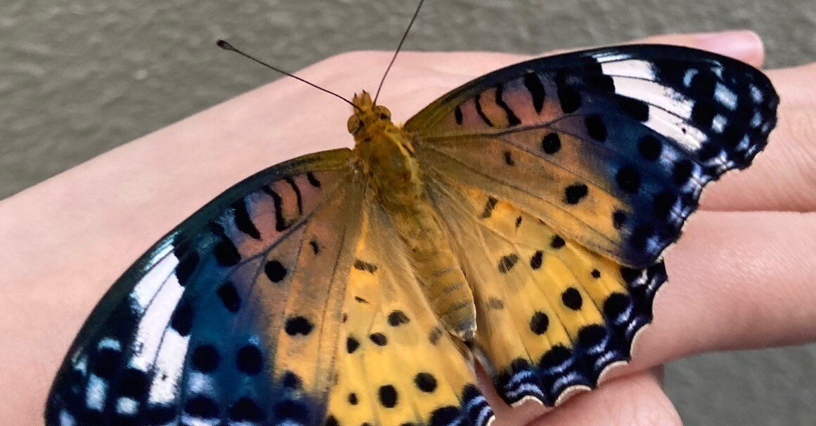 59f787ae5a9b6ecd843bad51c56bde