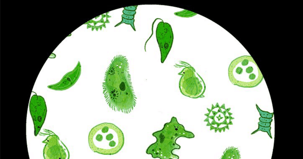 光合成微生物シアノバクテリアってかわい〜〜 放送大学面接授業「光合成微生物とその利用」 感想レポ｜一人で生きるハムスター