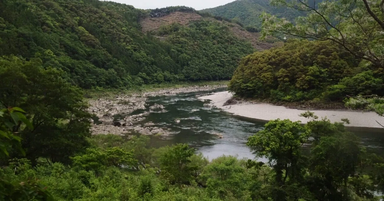 きっと雨で流れる|さあや
